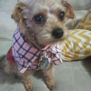 Meet your Posher, Phil